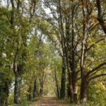 Der Storchenradweg am Beetzsee